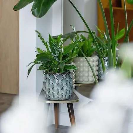 With Balcony, Private Parking - Bagry - Goszczynskiego 1 *