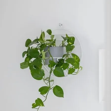 With Balcony, Private Parking - Bagry - Goszczynskiego 1 Daire *