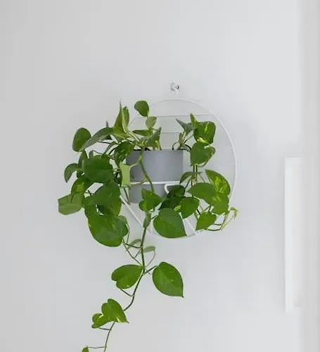 With Balcony, Private Parking - Bagry - Goszczynskiego 1 Appartamento *